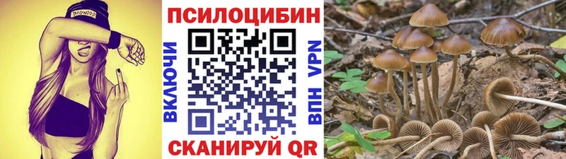 Галлюциногенные грибы Cubensis  Северская 